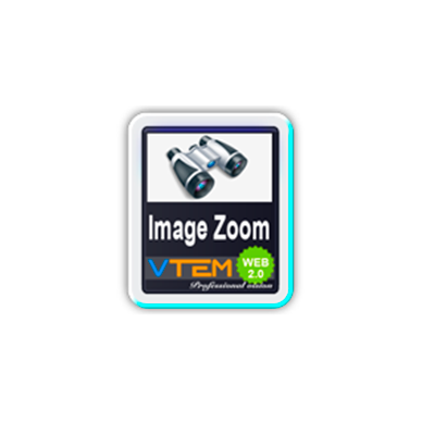 VTEM Image Zoom
