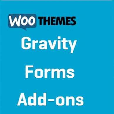 Woocommerce Gravity Forms Add-ons