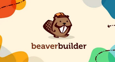 Beaver Builder PRO Agency