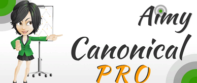 Aimy Canonical PRO