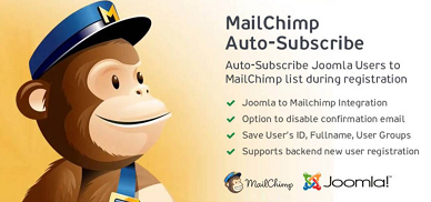 MailChimp Auto-Subscribe