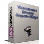 woocommerce-currency-converter-widget