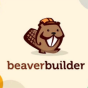 beaver-builder-pro-agency
